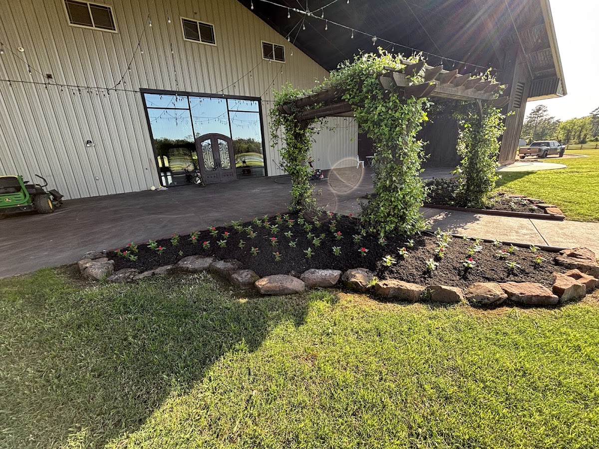 Yard transformation project